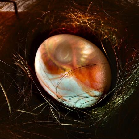 Renate Hahn: Blinzeln, Video-Clip, Straußenei, Messingdraht, ca. 45 x 45 cm, 2014