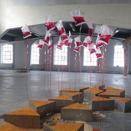 Renate Hahn: Blinzeln, Erde, Installation (Erden, Metall, Dialyebeutel mit roter Füssigkeit, tropfend), ca. 5 x 10 x 12 m, 2013