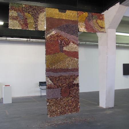 Renate Hahn: Gewand, getrocknete Blütenblätter, montiert, 300 x 300 cm, 2013
